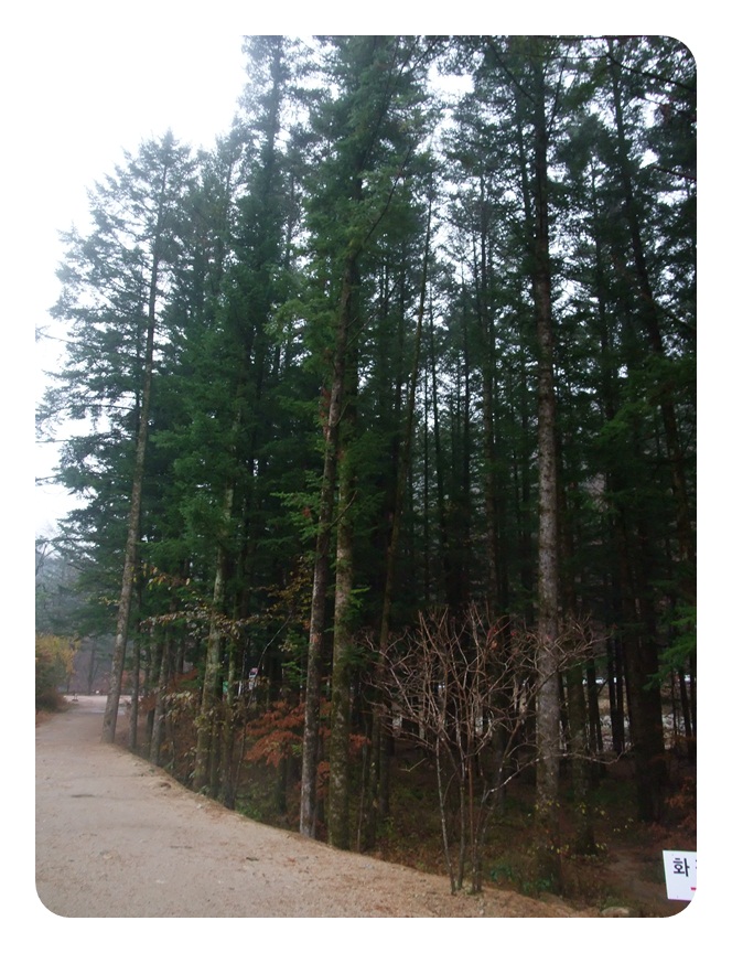 DSCF5118.JPG