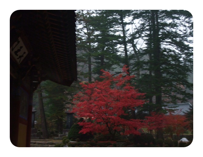 DSCF5145.JPG