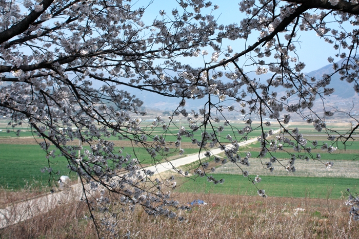 IMG_1851.JPG