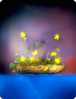 color-05.jpg