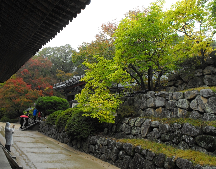 DSCF8812.JPG