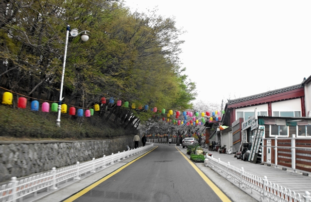 DSCF8005.JPG