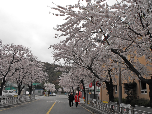 DSCF8015.JPG