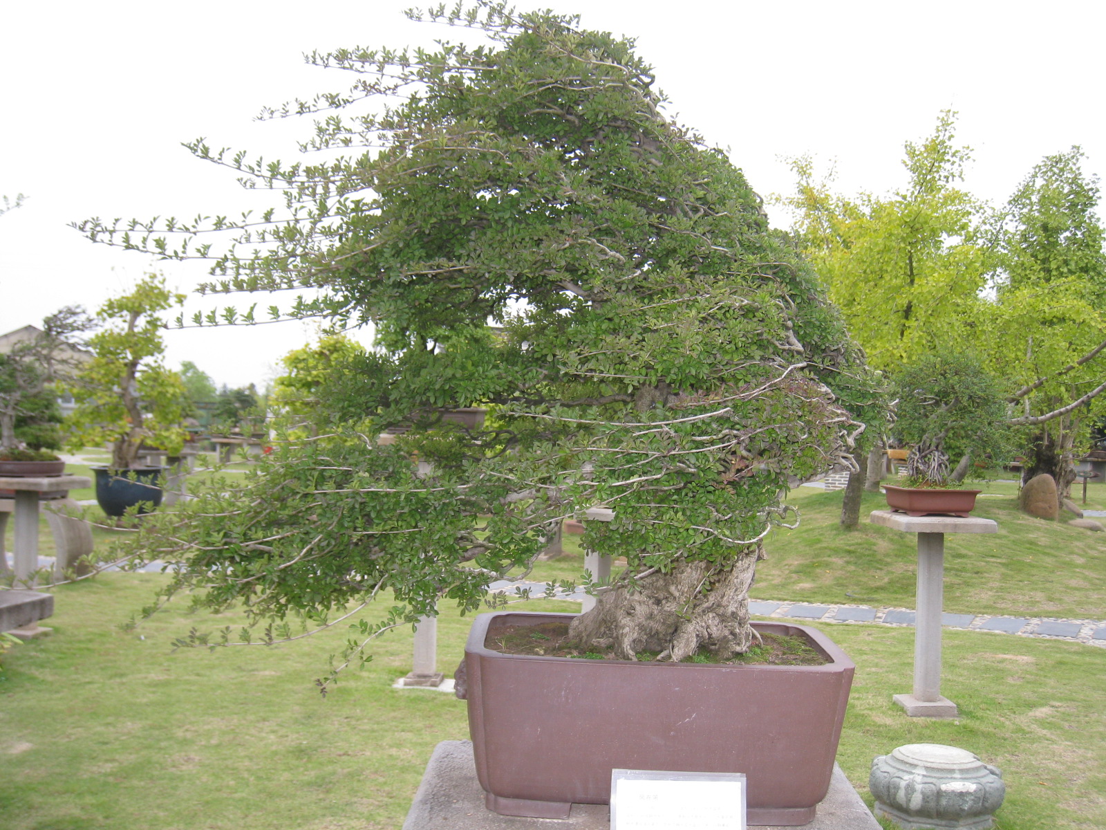 사진 095.jpg 사진 095.jpg