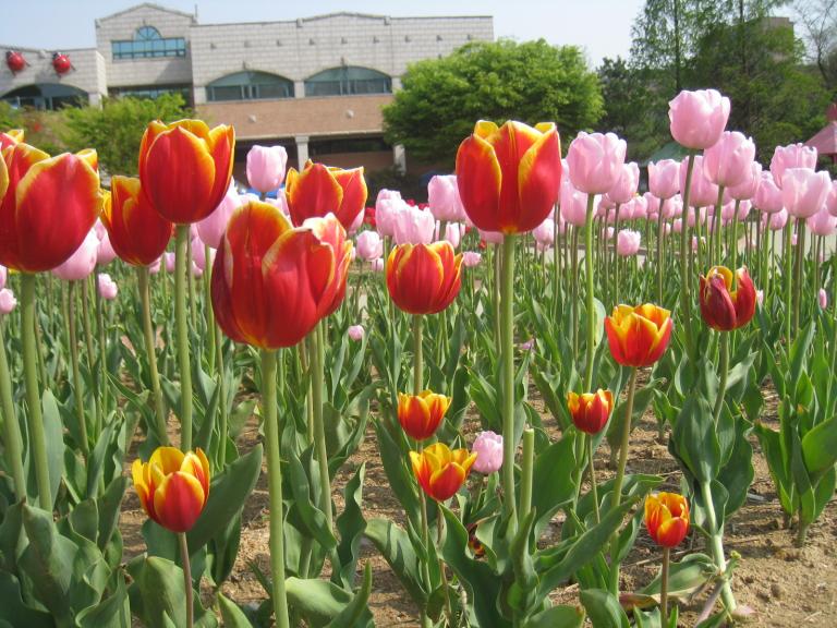 사진 144.jpg 사진 144.jpg