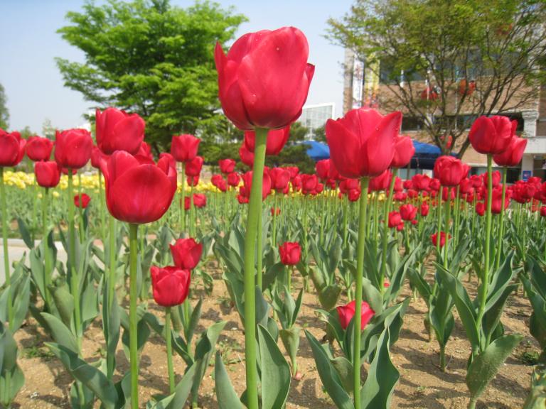 사진 147.jpg 사진 147.jpg