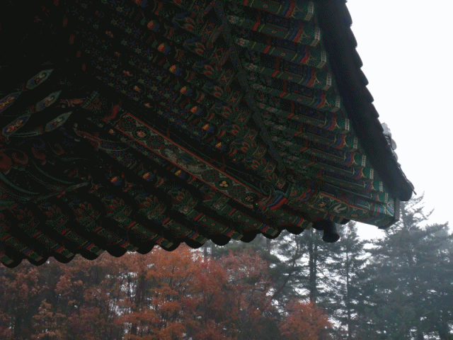 anigif월정사.gif