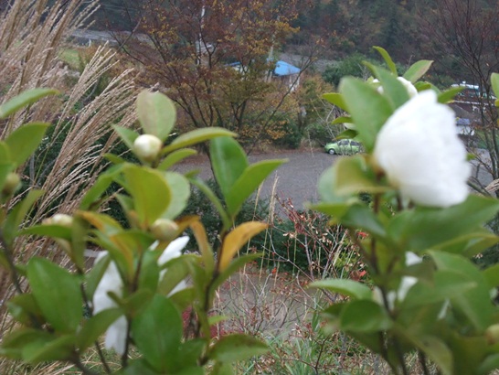 DSCF3457-077.JPG