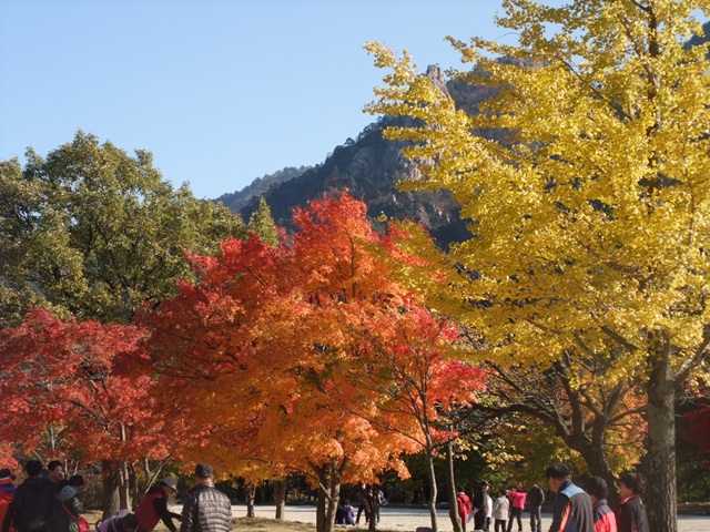 DSCF3176-045.JPG