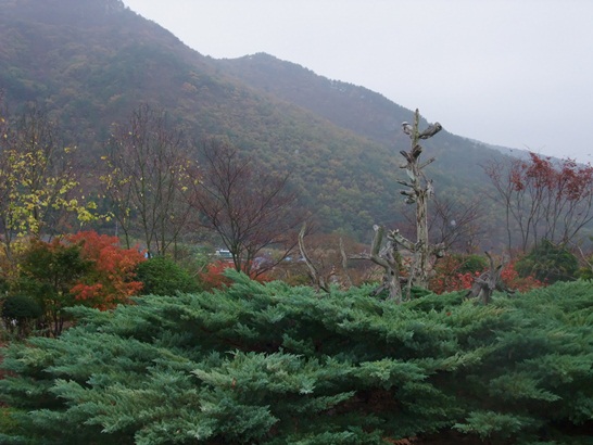 DSCF3467-087.JPG