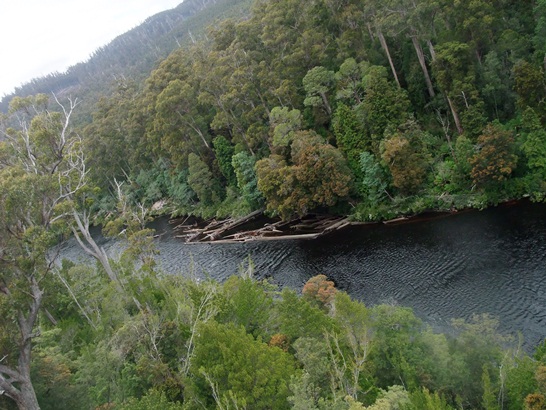 DSCF4030.JPG