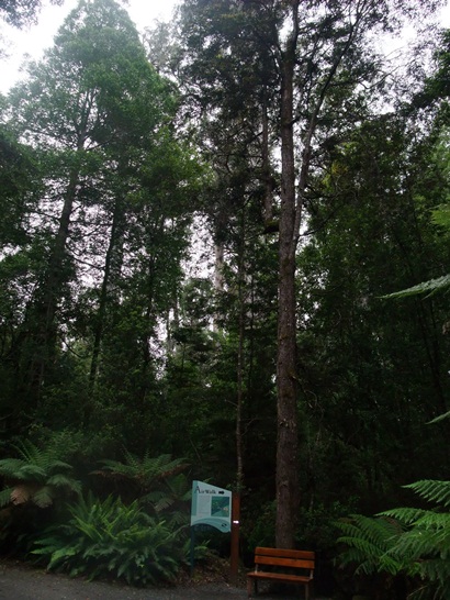 DSCF4043.JPG