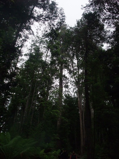 DSCF4044.JPG