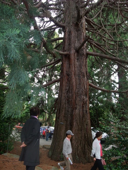 DSCF4202.JPG