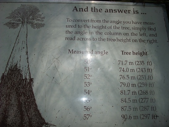 DSCF4248.JPG