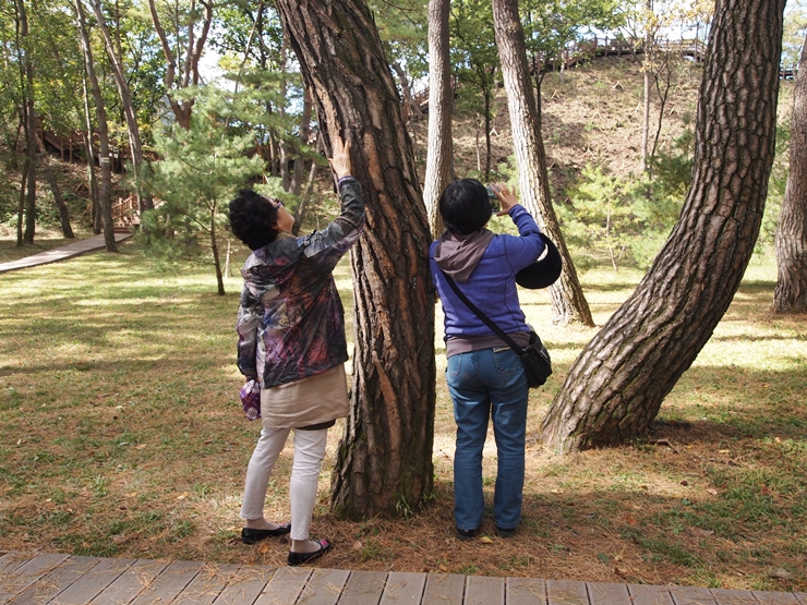 P1010520.JPG
