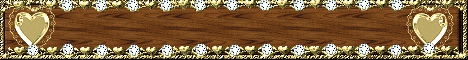 13.gif