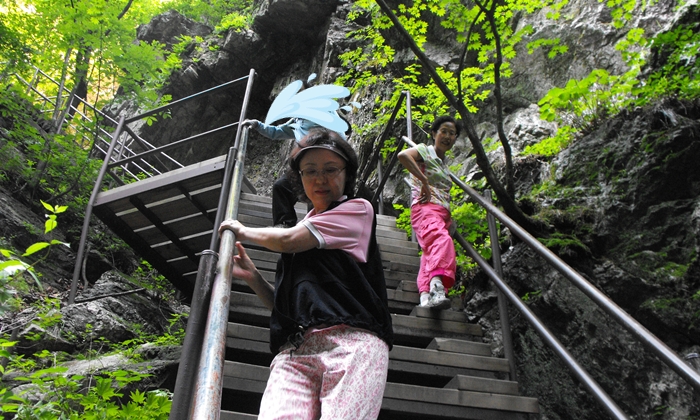 DSCF6118.JPG