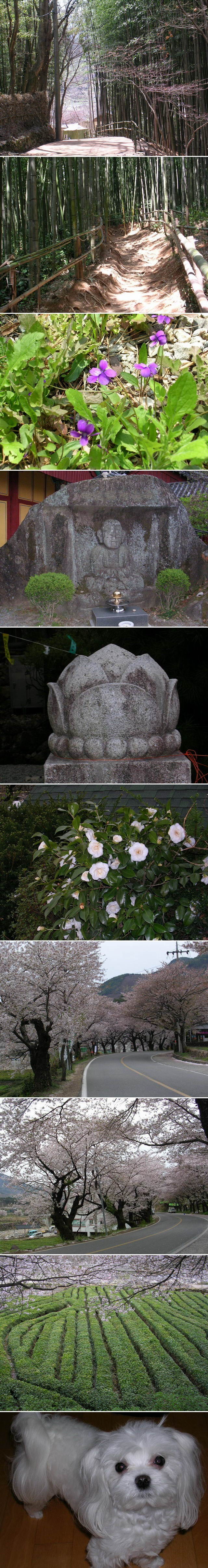 22.jpg 22.jpg