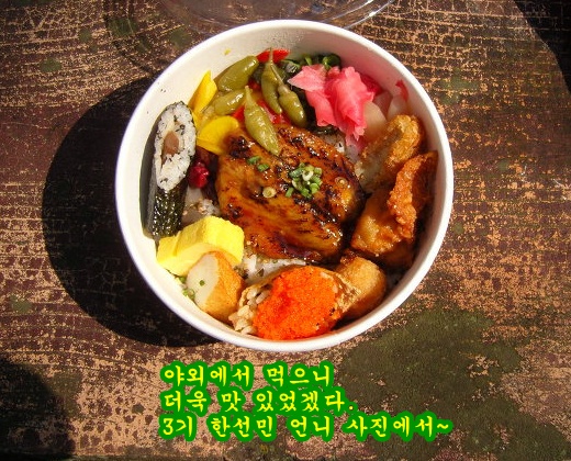 SNC12867-crop.jpg