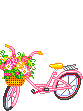 color_02.gif color_02.gif