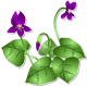 color_27.gif color_27.gif