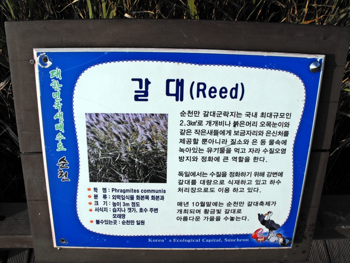 DSCF7222.JPG