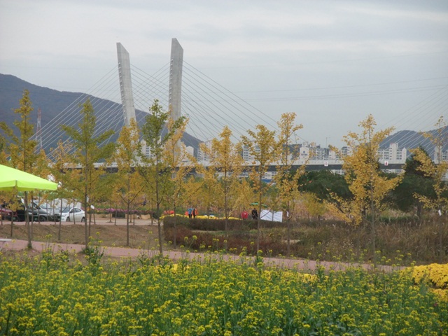 DSCF3116-004.JPG
