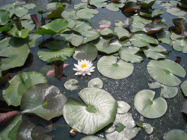 사진 006.jpg 사진 006.jpg