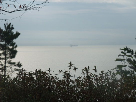 DSCF3495-112.JPG