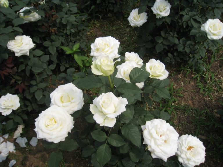 사진 020.jpg