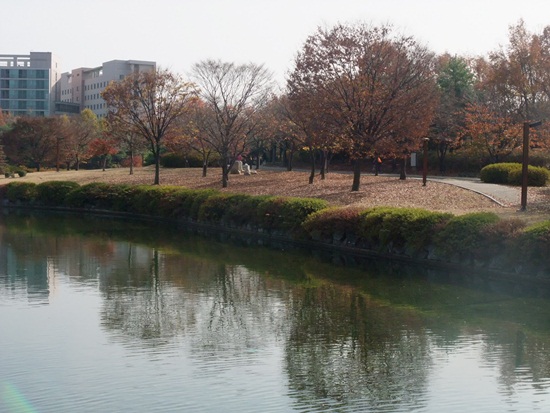 DSCF3263-027.JPG