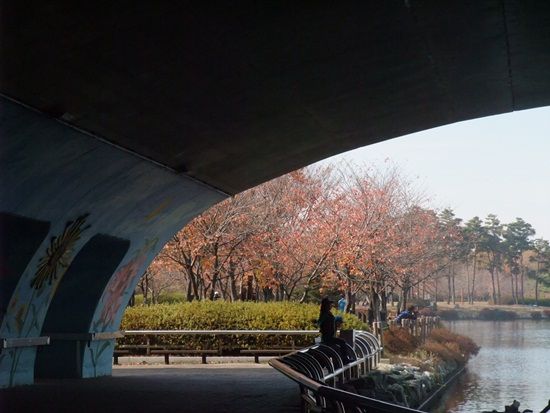 DSCF3271-035.JPG