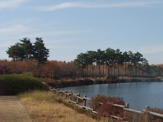 DSCF3274-038.JPG