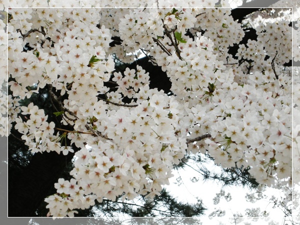 April 018.JPG
