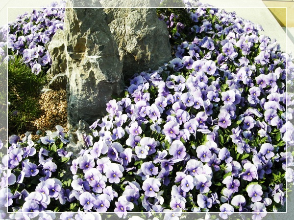 April 035.JPG