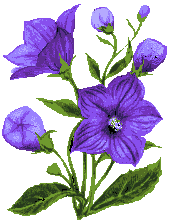 color_01.gif