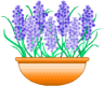 color_09.gif