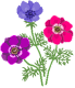 color_20.gif