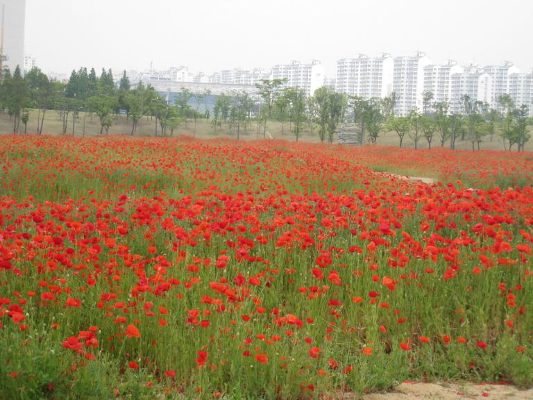 사진 050.jpg 사진 050.jpg