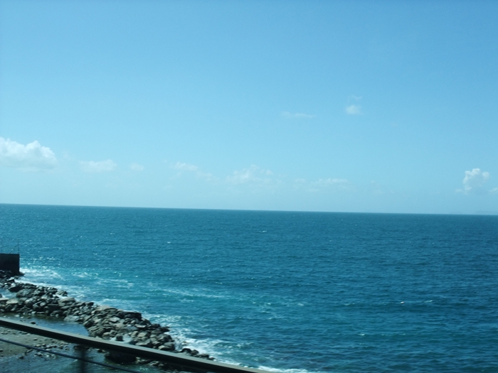 DSCF0938.jpg
