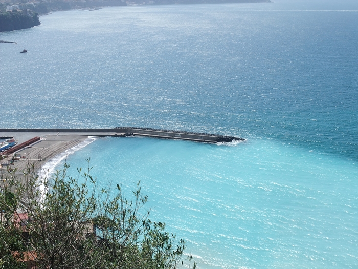 DSCF0950.jpg