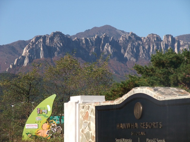 DSCF3192-061.JPG