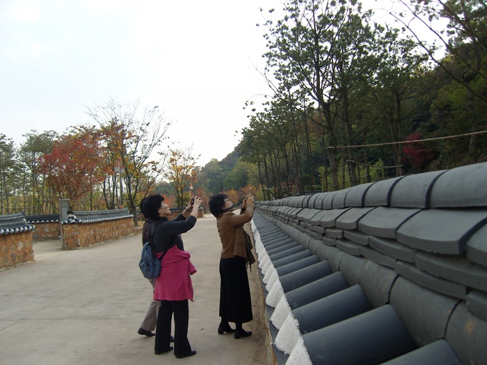 SN200567.JPG