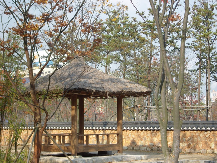 SN200578.JPG