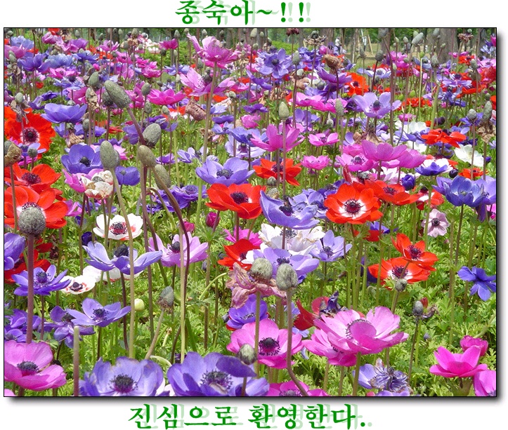 buryun_1054958673_1.jpg