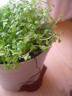 color_21.jpg color_21.jpg