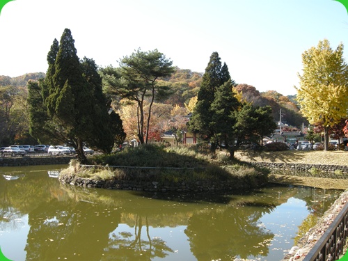 sung 024.JPG