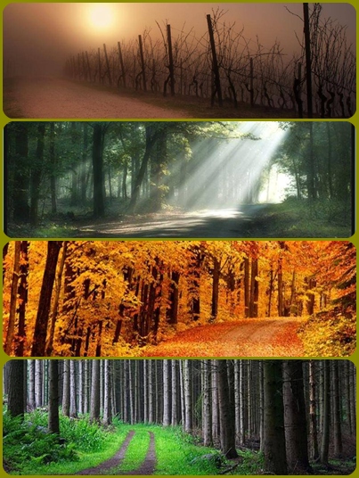road1.jpg