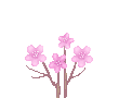 color_flower98.gif